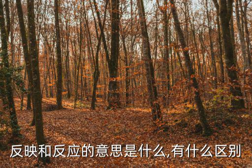 反映和反應的意思是什么,有什么區別