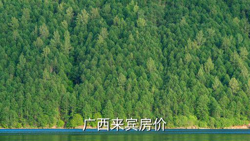 廣西來賓哪個(gè)區(qū)房?jī)r(jià)高些，廣西來賓房?jī)r(jià)