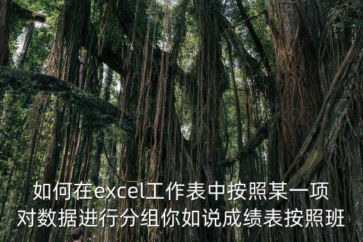 excel分組，excel怎么對(duì)數(shù)據(jù)透視表字段分組