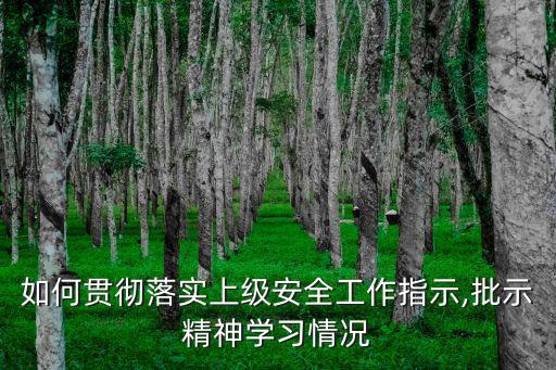 學(xué)習(xí)貫徹情況,會議強調(diào)如何貫徹落實上級安全工作指示