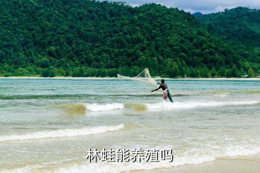 林蛙養殖技術,養殖林蛙要求水源充足且利于林蛙越冬