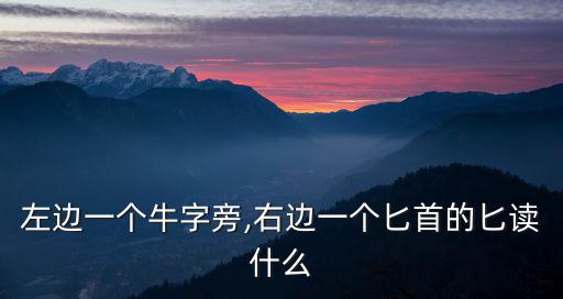 匕怎么讀,公雞代公雞司晨是匙讀什么