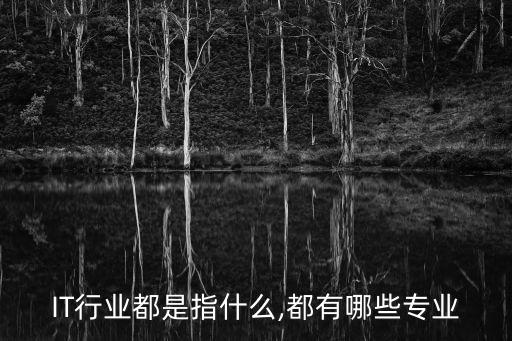 it產業(yè),備受企業(yè)青睞的it行業(yè)是指什么?