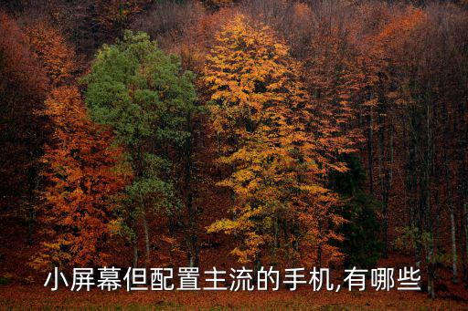 小屏幕但配置主流的手機,有哪些