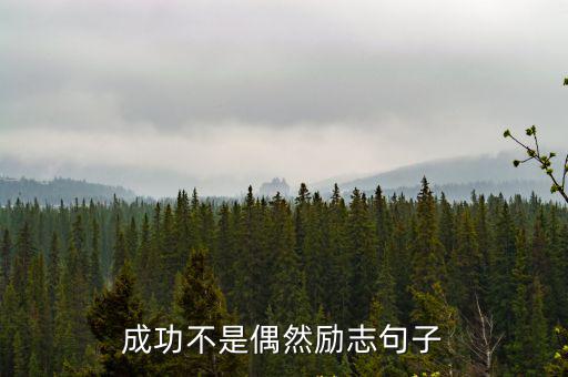 成功不是偶然勵志句子