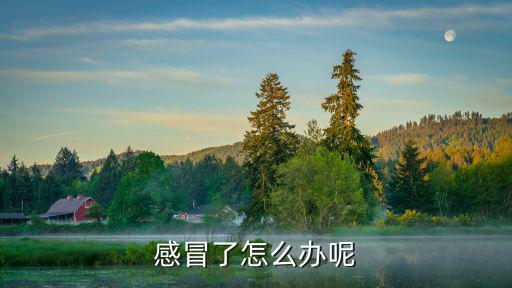 感冒了怎么辦呢