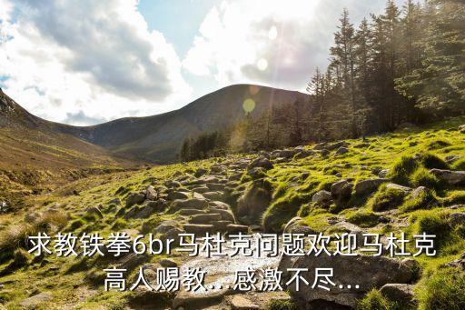 求教鐵拳6br馬杜克問題歡迎馬杜克高人賜教...感激不盡...