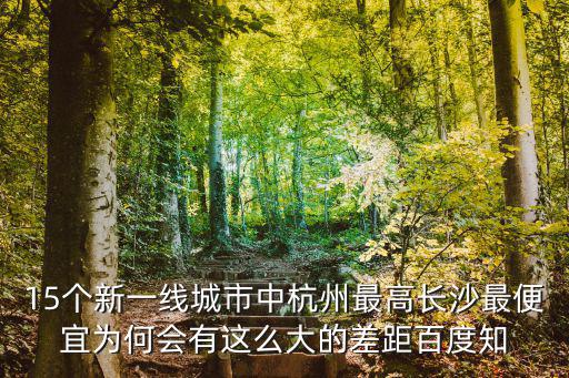 15個新一線城市中杭州最高長沙最便宜為何會有這么大的差距百度知