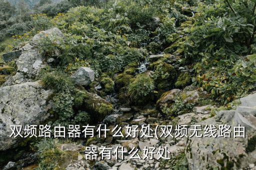 雙頻路由器有什么好處(雙頻無(wú)線路由器有什么好處