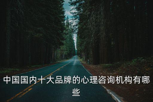中國(guó)國(guó)內(nèi)十大品牌的心理咨詢機(jī)構(gòu)有哪些