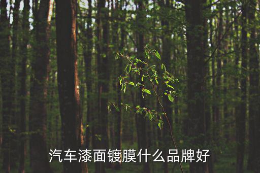 汽車鍍膜品牌,汽車鍍膜知多少?問與答（15）