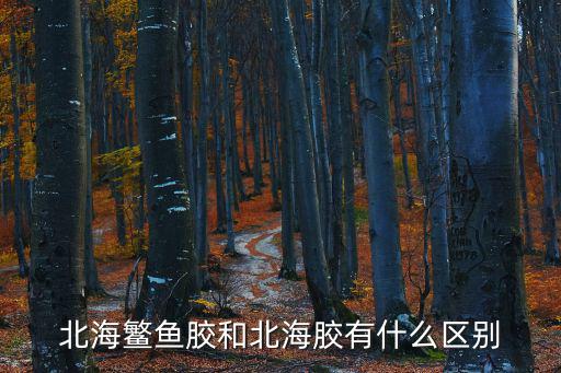 北海鳘魚(yú)膠和北海膠有什么區(qū)別