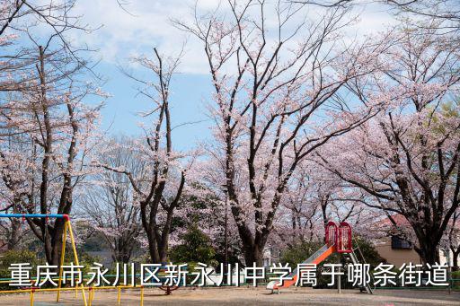 重慶市永川區(qū)新永川中學(xué)屬于哪條街道