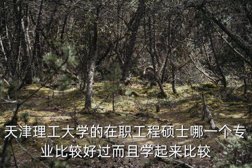 天津理工大學的在職工程碩士哪一個專業比較好過而且學起來比較