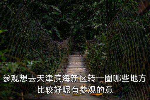 參觀想去天津濱海新區轉一圈哪些地方比較好呢有參觀的意