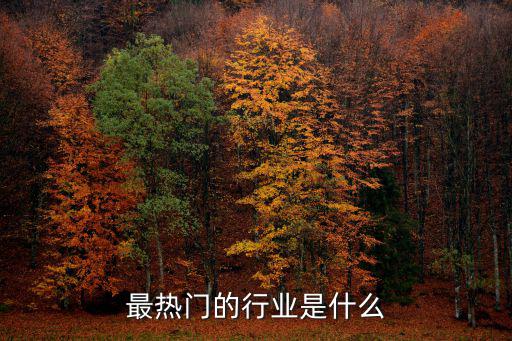 最熱門的行業是什么