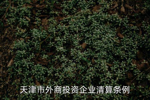 天津市外商投資企業清算條例
