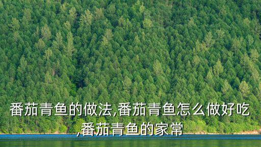 茄汁青魚(yú)的做法,一盤(pán)魚(yú)一盤(pán)茄汁