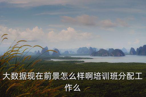 大數據現在前景怎么樣啊培訓班分配工作么