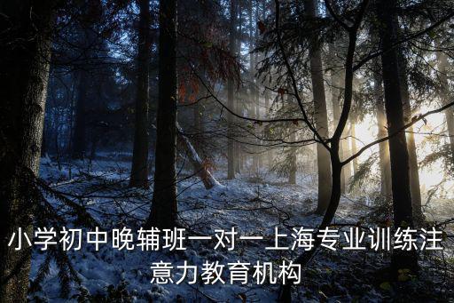 小學初中晚輔班一對一上海專業訓練注意力教育機構