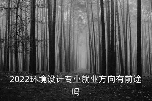 2022環(huán)境設(shè)計專業(yè)就業(yè)方向有前途嗎