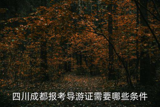 四川成都報(bào)考導(dǎo)游證需要哪些條件
