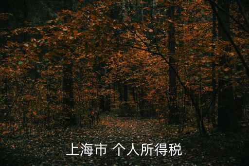 上海市 個人所得稅