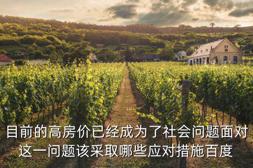 目前的高房價已經成為了社會問題面對這一問題該采取哪些應對措施百度