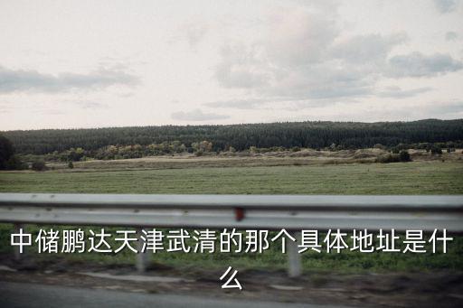 中儲鵬達天津武清的那個具體地址是什么