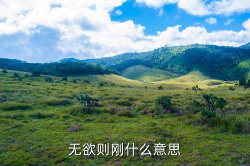 無欲則剛的意思,無欲則剛