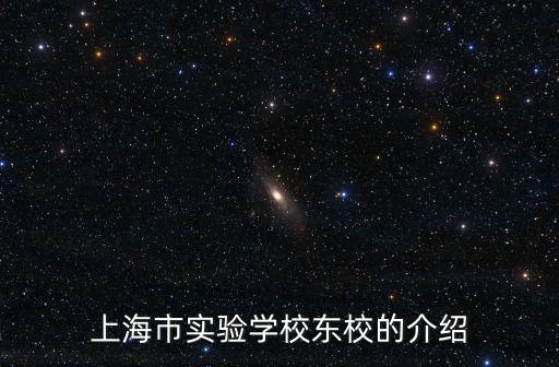 上海市實驗學(xué)校東校的介紹