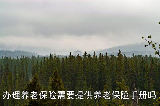 辦理養(yǎng)老保險需要提供養(yǎng)老保險手冊嗎