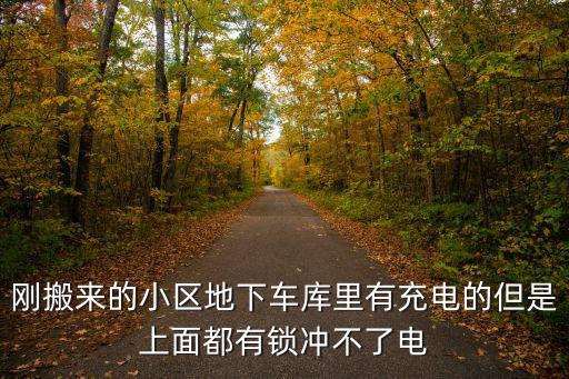 剛搬來的小區地下車庫里有充電的但是上面都有鎖沖不了電