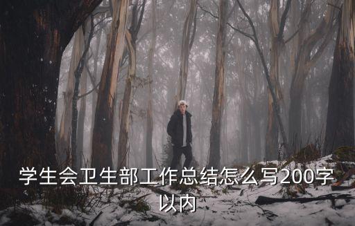 學(xué)生會衛(wèi)生部工作總結(jié)怎么寫200字以內(nèi)