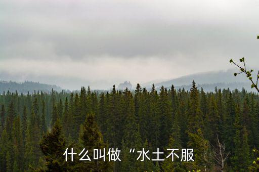 什么叫做“水土不服