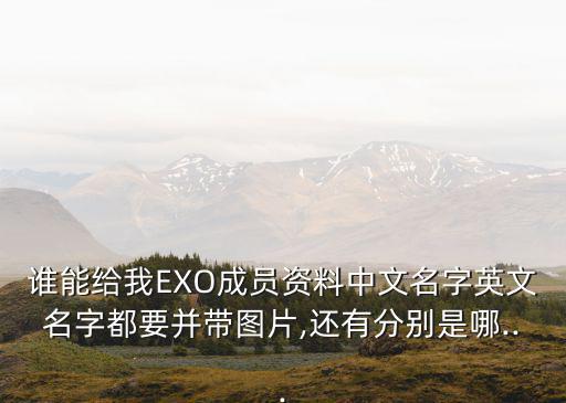 誰能給我EXO成員資料中文名字英文名字都要并帶圖片,還有分別是哪...