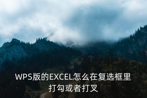 WPS版的EXCEL怎么在復選框里打勾或者打叉
