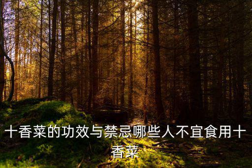 十香菜的功效與禁忌哪些人不宜食用十香菜