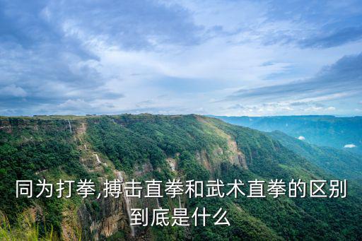 同為打拳,搏擊直拳和武術直拳的區別到底是什么