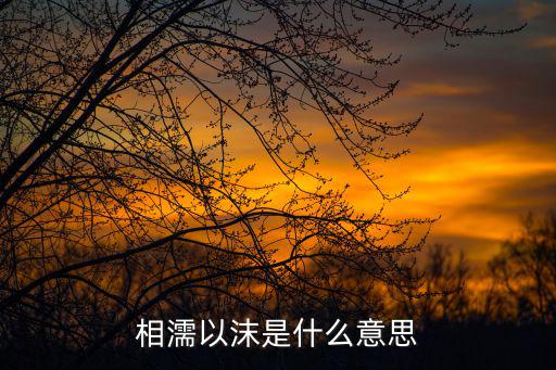 于于,泉涸，相濡以沫比喻夫妻感情或朋友
