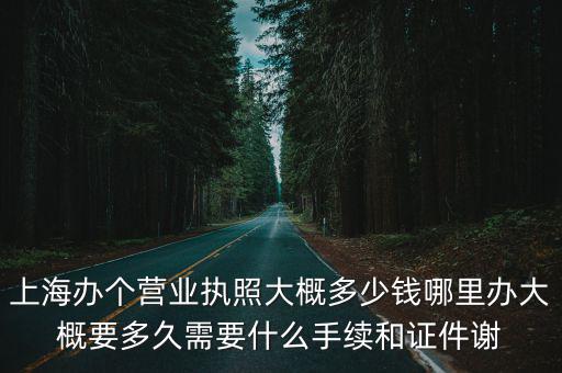 上海辦個營業執照大概多少錢哪里辦大概要多久需要什么手續和證件謝