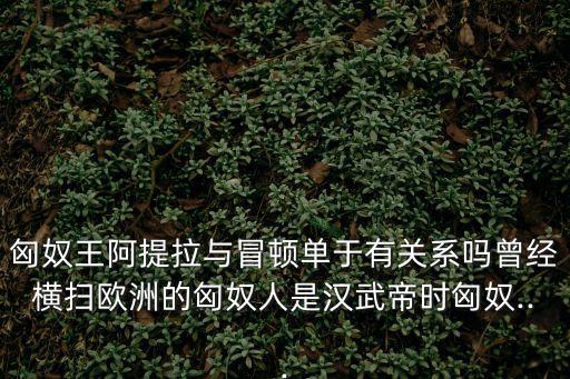 匈奴王阿提拉與冒頓單于有關系嗎曾經橫掃歐洲的匈奴人是漢武帝時匈奴...