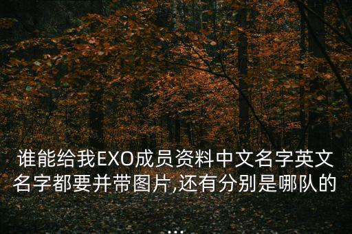 誰能給我EXO成員資料中文名字英文名字都要并帶圖片,還有分別是哪隊(duì)的...