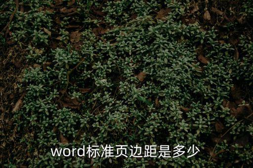 word標準頁邊距是多少
