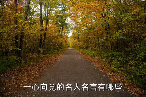 愛黨名言,關(guān)于中國共產(chǎn)黨的名人名言有哪些?