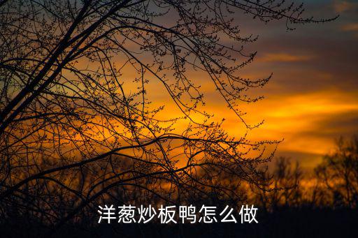洋蔥炒板鴨怎么做