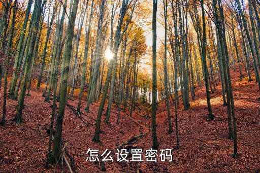 怎么設置密碼