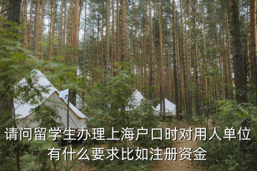 請問留學(xué)生辦理上海戶口時對用人單位有什么要求比如注冊資金