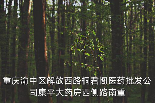 重慶市渝中區丁香路天宮小區，重慶渝中區有哪些高檔小區