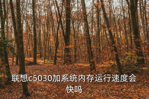 聯(lián)想c5030加系統(tǒng)內(nèi)存運行速度會快嗎